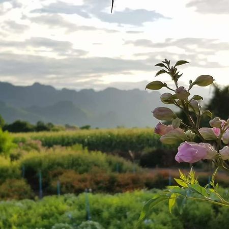 Blue Mountain Resort Ban Huai Maenam Noi Dış mekan fotoğraf