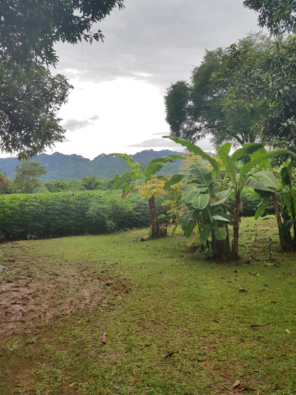 Blue Mountain Resort Ban Huai Maenam Noi Dış mekan fotoğraf